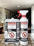 CleanPrince Anti Spinnenspray 2,5 Liter | Spinnen Abwehrspray Spider Ex Stopp Spinnenschreck Spinnenentferner Repellent