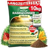 DÜNGEMEISTER Herbst Rasendünger – mit Langzeitwirkung und KaliumschutzPlus Formel für extrem winterfesten, sattgrünen Rasen! Perfekte Widerstandsfähigkeit gegen Frost & Krankheiten (10kg)