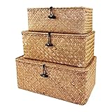 Aufbewahrungskorb aus geflochtenem Rattan, Aufbewahrungsbox mit Deckel, Natur Seegras, Wäschekörbe, Make-up-Organizer für Badezimmer, Wohnzimmer, Küche