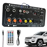 Auto Audio Verstärker Platine, Auto Verstärker Board | AMP Modul des digitalen Stereo-Audioempfängers 12V und 24V 24V | Wireless Lautsprecher Board mit Fernbedienung, elektronisches Kit