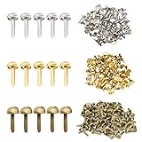 Belvanr Rundkopfklammern 600 Stücke Musterklammern Metall Musterklammern Papierverschlüsse Musterbeutelklammern Silber Metall Musterklammern Musterbeutelklammern Rundkopf Metall Rundkopfklammern