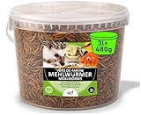 UGF - Premium Mehlwürmer getrocknet 3 Liter Eimer, Vogelfutter Wildvögel Ganzjährig, Igelfutter, Eichhörnchen Futter, Hamster Futter