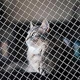 CVASNF Katzennetz für Balkon, 3x10m Vogelschutznetz Ohne Bohren Transparent Taubennetz Balkon Katzenschutznetz Balkonnetz für Katzen zur Sicherung von Terrassen Fenstern Zäunen und Türen