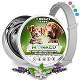 Monked | Natürliches Flohhalsband Hunde ohne Chemie | Zeckenhalsband Hunde klein & groß | Größenverstellbar | bis 8 Monate Schutz | Zeckenschutz Hund | Anti Floh Hund | Anti Floh Hund [Grau]