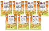 HiPP Bio Knabberprodukte Bio-Dinkel-Hafer Ringe, 7er Pack (7 x 30 g)