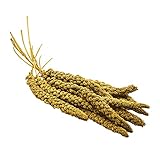 STAWA Kolbenhirse gelb, Top-Qualität handverlesen, 1 kg