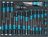 HAZET Schraubendreher-Set 163-526/41N, 41-teilig, PH0–PH3, T9–T40, Schlitz 0,4x2,5 – 1,2x7, Innen TORX und Innen Sechskant, mit Schraubendrehern mit Schlagkappe und Winkelschlüsseln