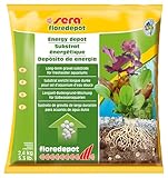 sera floredepot 2,4 kg | Aquarium Bodengrund Nährboden | Basis für Aquarienpflanzen unter dem Kies | Pflanzenpflege | Mischung von Torf, Sand & Aktiv-Pellets | Starter-Set für Süßwasseraquarien