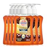 Sagrotan Handseife Winter Limited Edition – Feuchtigkeitsspendend, Duft Frosted Citrus – 6 x 250 ml im praktischen Vorteilspack