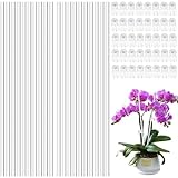 Pflanzenstütze20 Stück, 40 Stück Pflanzenclips, Plant Support Stakes, Stakes Bendable Blumenstütze, Pflanzenhalter, Strauchstütze, Rankhilfe Pflanzstäbe für Außen und Zimmerpflanzen