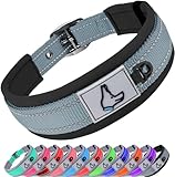 Joytale Halsband Hund, Weich Hundehalsband Gepolstert Neopren Hunde Halsband für Kleine Hunde, Nylon Reflektierend Breit Halsbänder, Grau