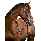 Kerbl Trensenzaum Classic Leder Warmblut, Braun, 324913