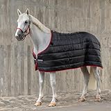 SUNRIDE Unterdecke für Pferde 300g - flexibel kombinierbar mit unseren Winterdecken und Regendecken (145 cm)