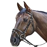 WALDHAUSEN STAR Trensenzaum Basic Pony, schwarz
