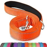 Joytale Hundeleine, 1.8/1.5/1.2m Reflektierende Leine aus Nylon mit Gepolstertem Griff für Große Mittel Hunde, 1.8m × 2.5cm, Orange