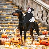 VEQENIFY Hundekostüm Halloween Halloween Kostüm Hund Halloween Hundekostüm Hunde Kostüm Halloween Hunde Kostüm Hund Halloween Kostüm Hunde Halloween Kostüm für Kleine bis Große Hunde