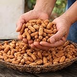 erdnuss - erdnusssamen seltene alte gemüsesorten winterharte garten gemüsesamen zimmerpflanzen gemüsesamen balkon anzucht kletterpflanzen exotische kletterpflanzen 60samen