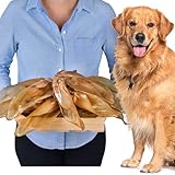 Natürliche Rinderohren mit Muschel für Hunde 10 Stück (700 g) | indischer Natur-Kausnack aus 100% Rind | langes Kauvergnügen & Zahnpflege | ohne Zusatzstoffe