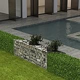 Gabionenkorb Pflanzkasten Gemüse-Hochbeet Stahl 120×30×50 cm - Garten Terrassen Gemüsebeet Gartenbeet Pflanzbeet - Wetterfestes Stahlblech Hochbeet für Gemüse Erhöhte