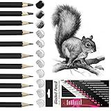 Wonwood_direct Bleistift Set, 12-Teiliges Zeichenstifte, Bleistifte Zeichnen von 2H bis 8B Zeichenset mit Graphitstifte für Künstler, Kinder, Erwachsene, Zeichnungen, Skizzieren Liebhaberin (Typ 2)