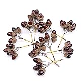 WUCHENG 12/24 stücke Künstliche Früchte Eicheln Mini Foam Gefälschte Nüsse Kiefernzapfen Gemüse Beere Blumen für Hochzeit Weihnachtsbaum Dekoration künstliche Blumen (Size : 12pcs)