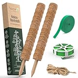 HOMEZ Rankhilfe Monstera [2X 40cm] Pflanzenstütze – einfach verlängerbar - ideale Kletterhilfe für Zimmerpflanzen - inkl. Befestigungsmaterial