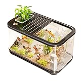 Aquarium Starter Set Belüftet | Fisch Aquarium Starterset,Schildkrötenbecken Mit Rampe Für Süßwasser Salzwasser Pflanzen Deko