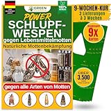 GREEN GUARDIA Schlupfwespen gegen Lebensmittelmotten - 3 Karten à 3 Lieferungen - Effektiv & unweltfreundlich Lebensmittel Motten bekämpfen - Alternative zur Mottenfalle, Mottenspray, Pheromonfalle