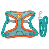 FONDOTIN 1 Satz Transportbox für Haustiere hundesicherheitsgeschirre hundesicherheitsgurt Dog Toy Hundegeschirr für Welpen Ausbildung für Hunde Haustier Geschirr Welpengeschirr Tuch Blue