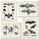 KIHOARL Fledermäuse Wanddekoration, Fledermäuse, Wandkunst, Leinwanddruck, Vintage, Retro, Hipster, Gothic, Gothic, Geschenke, gruselig, gruselig, anatomisches Bild, Poster für Zuhause, Wohnzimmer,