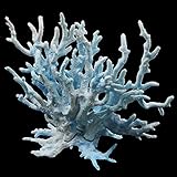 jinminamz Künstliche Coral Ornament Aquarienpflanzen Fish Kunststoff Korallen Simulation Korallenbaum Aquarium Ornamente Für Landschaftsbau Wasserlandschaft Dekoration Decor Mikromodell(Blau)