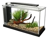 Fluval Spec 5 Nano Aquarium, mit 19L Fassungsvermoegen, in schwarz