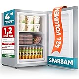 Stillstern Mini Gefrierschrank klein & leise 42L, Tiefkühltruhe mini Freezer -18°C mit Eiswürfelschale & Schloss, Türanschlag r./l., 4-Sterne Tiefkühlschrank klein Gefrierschränke Camping/Büro Silber