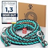 Testnote: Sehr gut - Hundeleine reflektierend I 3m, verstellbar, wetterfest & reißfest bis 250 kg I Paracord Führleine, Umhängeleine I kleine - große Hunde