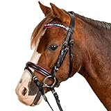 WALDHAUSEN Star Trensenzaum Pinky, MSH, schwarz