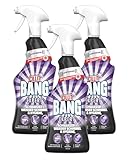 CILLIT BANG Expert Schwarze/Weißer Schimmelreiniger und Hygiene – Wirkstoffe natürilchen Ursprungs –3 x 750 ml