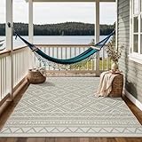 the carpet Calgary - robuster Teppich, Flachgewebe, modernes Design, ideal für Wohnzimmer, Esszimmer und Außenbereich, In- und Outdoor, Vintage-Optik, Boho-Style, Beige, 160 x 220 cm