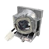BNEAIGHW Projektionsglühbirne RLC-108 Ersatzlampe for VIEWSONICPA500S CPA500S PA500X PA502SE PA503X PA550X PG603X PS500X PS501X PS600X VS16905 VS16909 Bühnenlicht