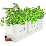 Green Thumbz 3 STK. Kräutertopf - Kräutertöpfe für Deinen Kräutergarten und Fensterbank Innen Dekoration - Basilikum Topf mit Ledergriffen & Untersetzer - Küchenkräuter Topf (Warmer Stein)