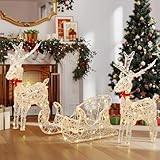 YITAHOME 3-teiliges LED Rentier, Beleuchtete Weihnachtsdekoration mit 2 Hirschen und Schlitten, 150 RGB-LEDs und Funkfernbedienung, Weihnachtshirsch mit abnehmbarem Geweih und Halsteil