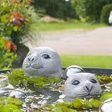 Storm's Gartenzaubereien Seehundkopf - Robbe - Heuler 2er Set 6,5 und 10cm hoch für die Teich oder Miniteich Deko aus Keramik