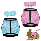 Kaninchen Laufen Geschirr, 2 Stück Verstellbares Weiches Hasengeschirr, Kaninchen Leine Set, Atmungsaktives Kleintiergeschirr Mit Leine, Für Kleintier Hase Hamster Katze Outdoor