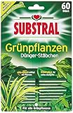Substral Dünger-Stäbchen für Grünpflanzen mit Eisen-Plus und 2 Monate Langzeitwirkung, 60 Stück