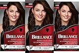 Brillance Intensiv-Color-Creme 880 Dunkelbraun (160 ml), dauerhafte Haarfarbe mit Diamant-Glanz und Pflege-Conditioner, für 10 Wochen Farbintensität
