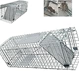 Lebendfalle 61 x 19 x 21 cm - Wetterfeste & Zuverlässige Falle für Kleintiere wie Marder und Ratten - Rattenfalle Marderfalle - Fertig Montiert, Bissschutz, Tragegriff