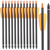 WANVZME 12 Stück 7,5' Carbon Armbrust Bolzen Pfeile für Mini Armbrust Jagd und Zielpraxis,15' Armbrustbolzen Armbrustpfeile mit 2' Flügel schraubel Ersatz Pfeilspitze Spitze (7.5zoll, Orange)