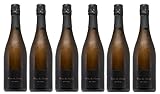 6x 0,75l - 2017er - Terra de Marca - Brut Nature - Cava D.O.P. - Spanien - Schaumwein brut