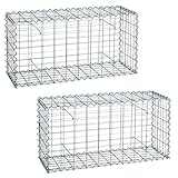 Gabione 100x50x30 cm Steingabione Steinkorb Gabionen Drahtkorb Staffelpreise (2 Stück)