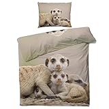MOBEITI Erdmännchen Bettwäsche 135x200, Tiere Wendebettwäsche, Weiche Kuschelige Mikrofaser Bettbezug Set 2teilig, 1 Kissenbezug 80x80, mit Reißverschluss - Erdmännchen Deko & Geschenke