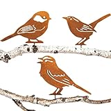 JYUECIAN Vögel Gartenstecker Rost Deko Gartendeko für Draußen, Edelrost Metall Vögel Roststecker Baumstecker - Meise, Zaunkönig, Haussperling